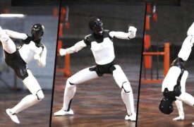 Kung fu robot